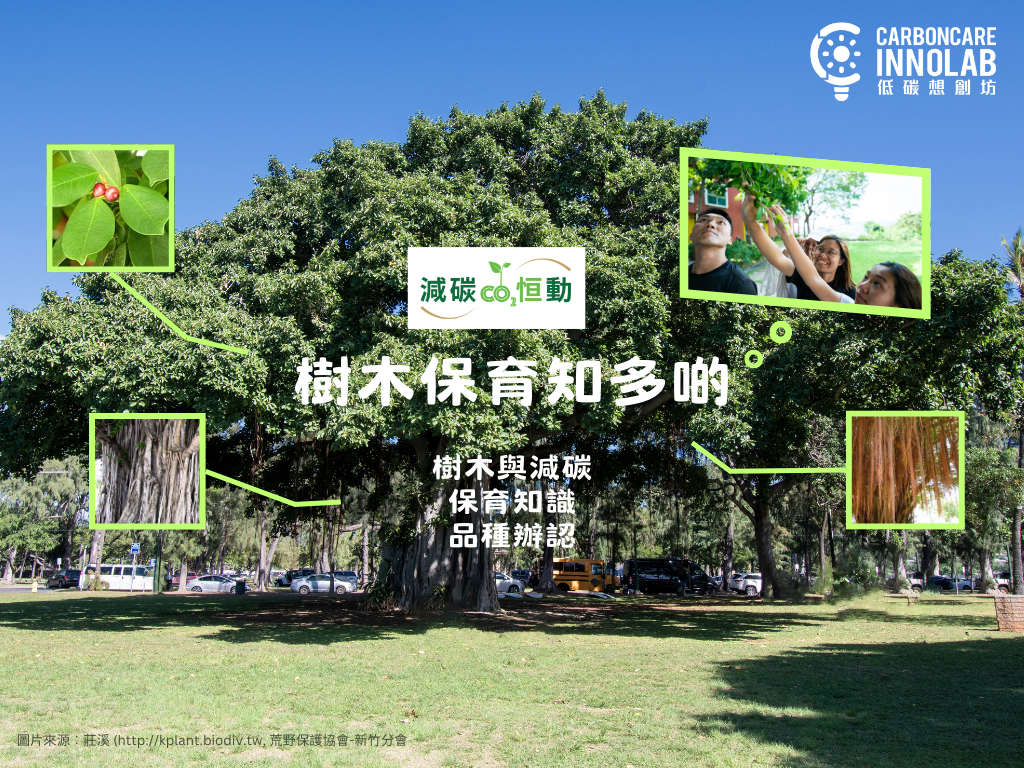 Cover Image for 「樹木保育知多啲」工作坊 (歡迎報名！)